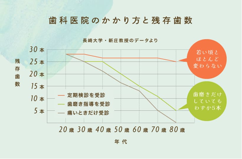 歯科医院のかかり方と残存歯数